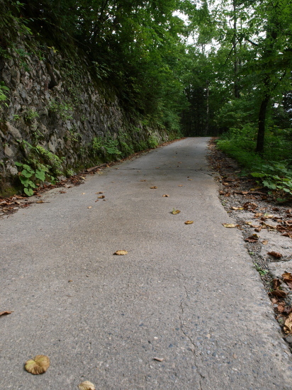 a0124947_21403419.jpg