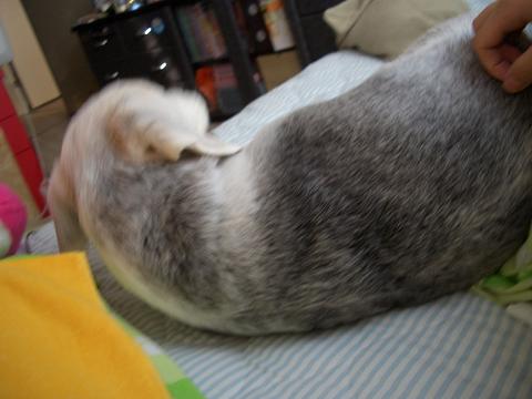 c0179048_8521772.jpg