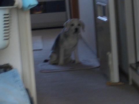 c0179048_8532022.jpg