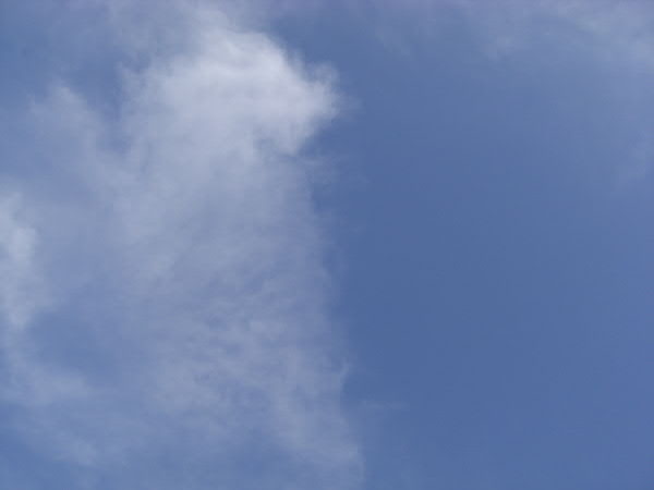 e0017051_2115394.jpg