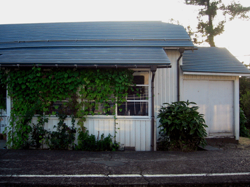 c0002860_12572818.gif