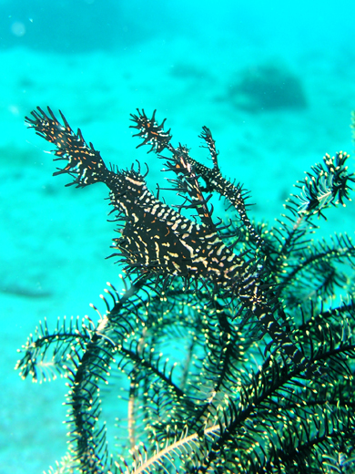 b0062363_20215433.jpg