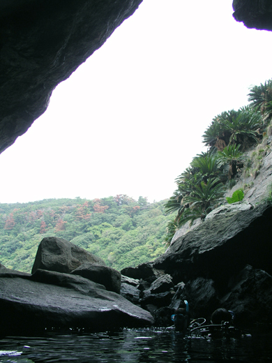 b0062363_2024752.jpg