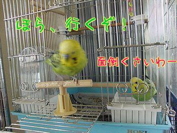 f0196665_031881.jpg