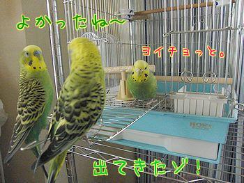 f0196665_063390.jpg