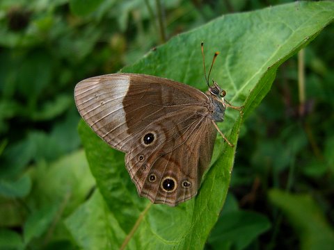 b0130166_1282943.jpg