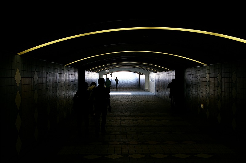 d0031171_642711.jpg