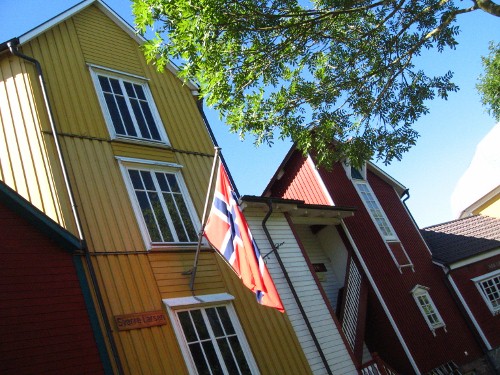 f0113371_1555294.jpg
