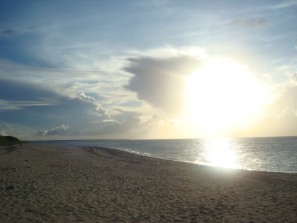 b0070572_201282.jpg