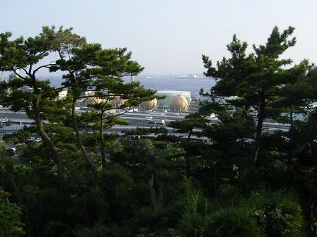 e0126875_2245582.jpg