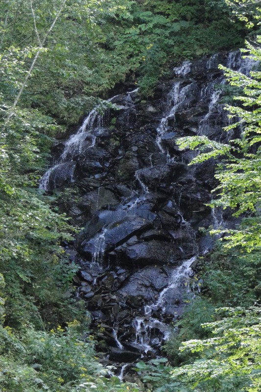 c0183777_1438591.jpg