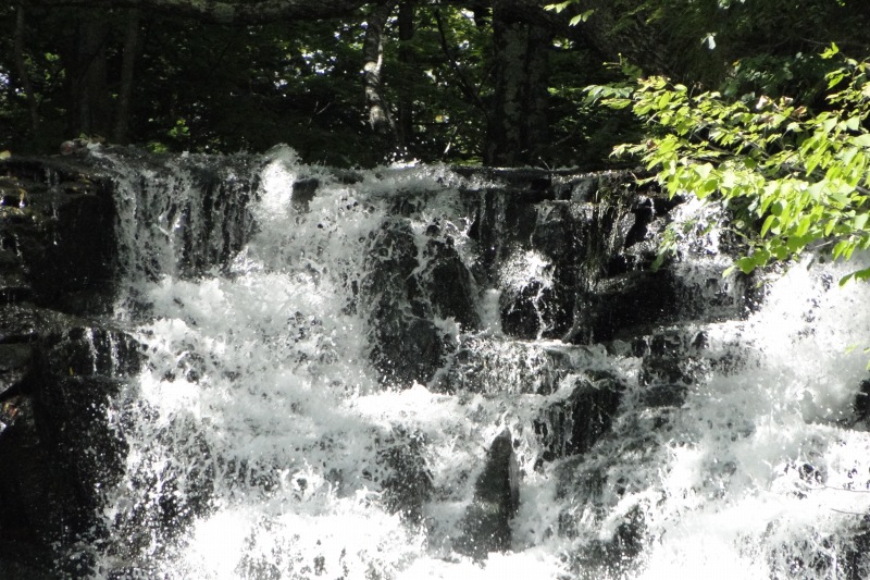 c0183777_14543772.jpg