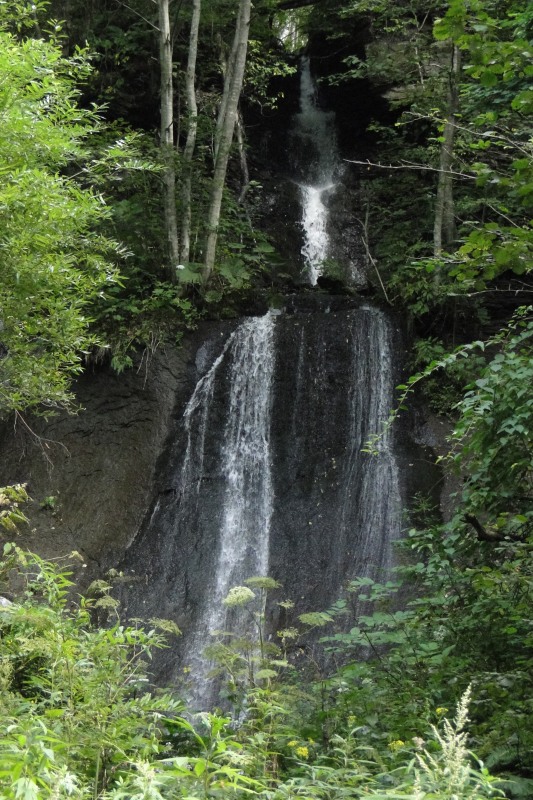 c0183777_1531622.jpg