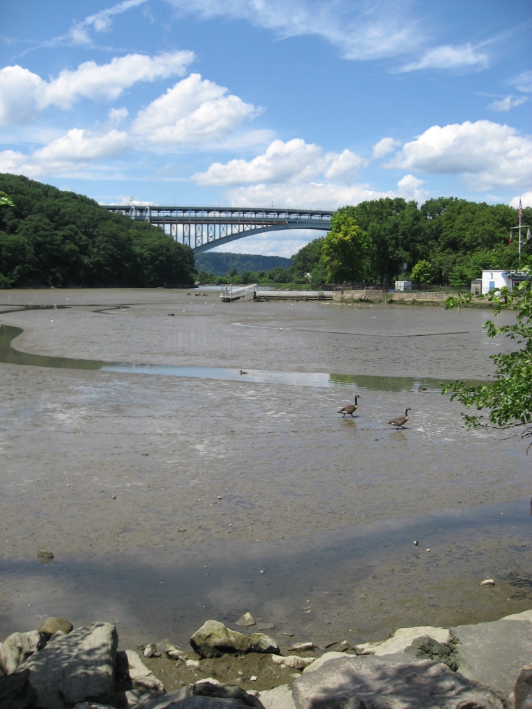 a0118179_1305430.jpg