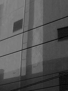 f0100480_19432548.jpg