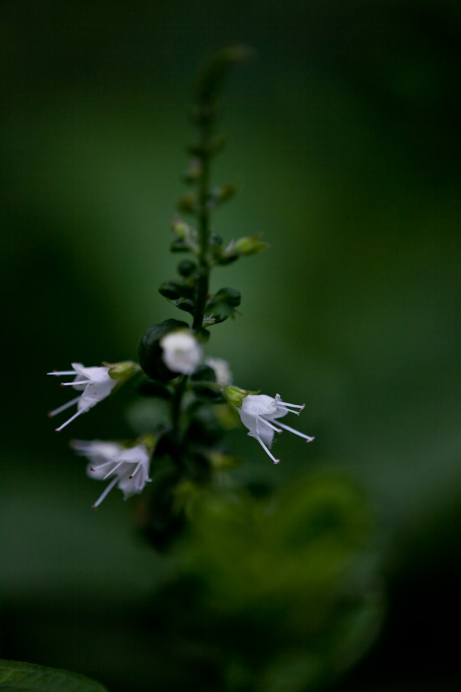 a0083081_1513521.jpg