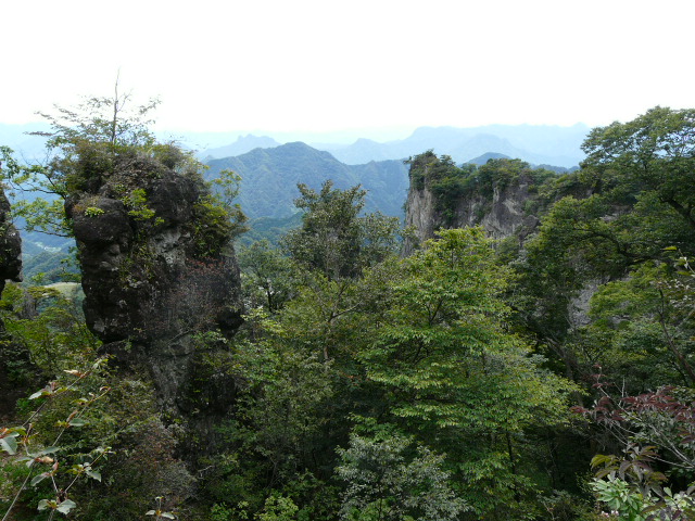 e0145782_1553168.jpg