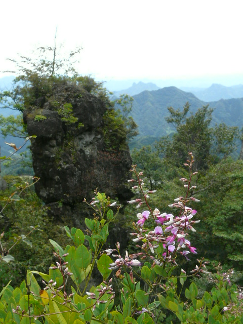 e0145782_1564593.jpg