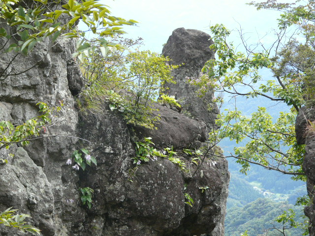 e0145782_1574380.jpg