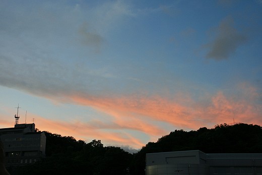 e0190885_19543064.jpg