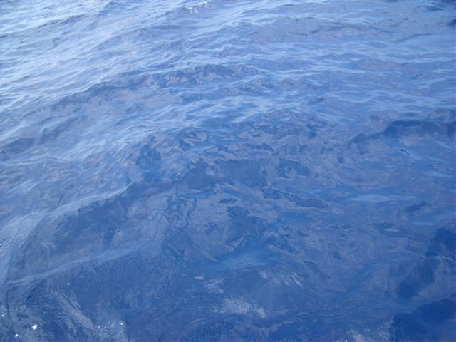 a0042393_19303331.jpg
