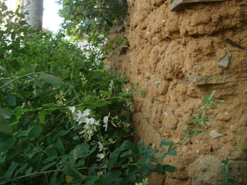e0111793_17411189.jpg