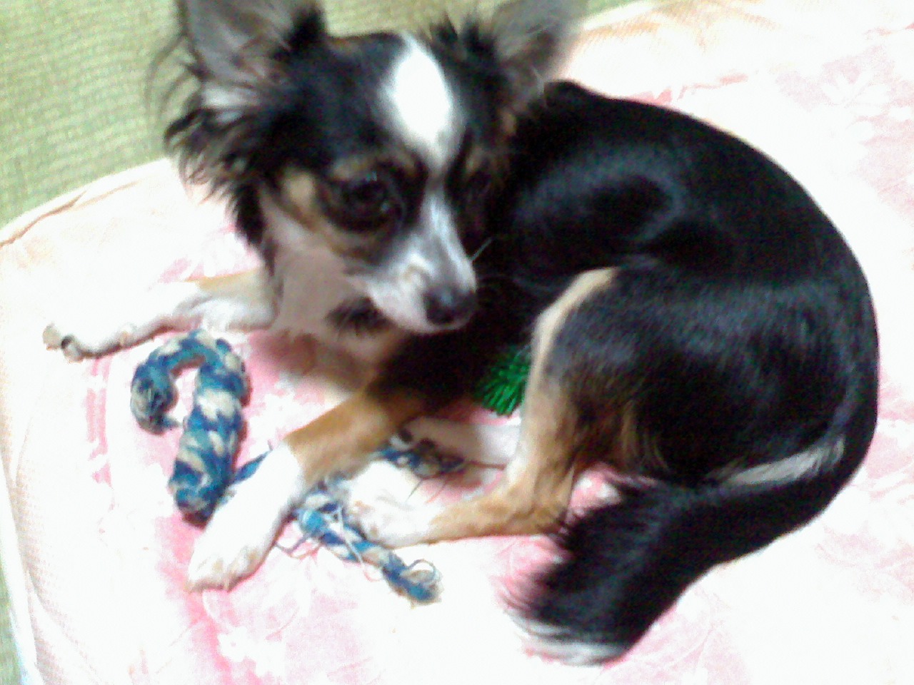 a0133999_23243432.jpg