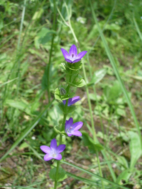 e0025300_2028236.jpg