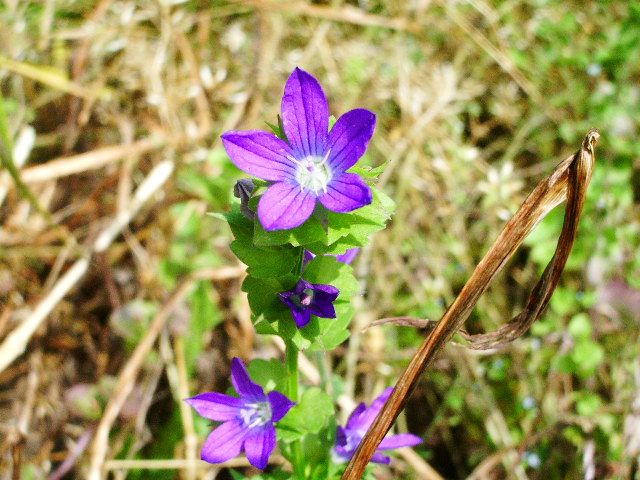 e0025300_20301129.jpg