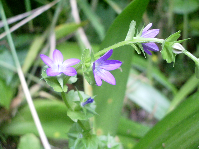 e0025300_20303449.jpg