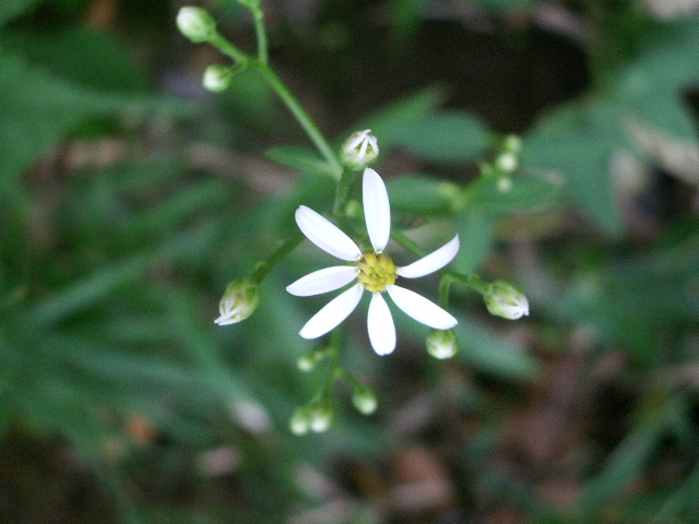 e0025300_2033287.jpg