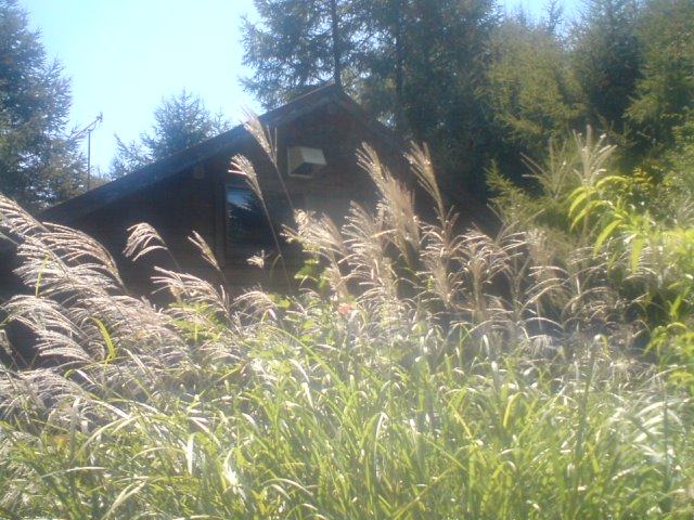 c0202101_1351168.jpg