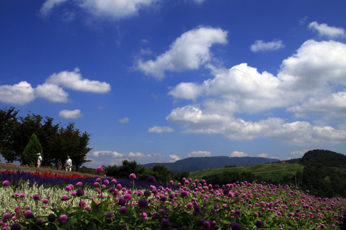 b0014607_1941338.jpg