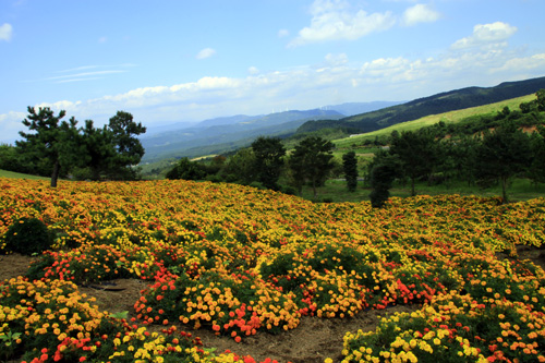 b0014607_1942828.jpg