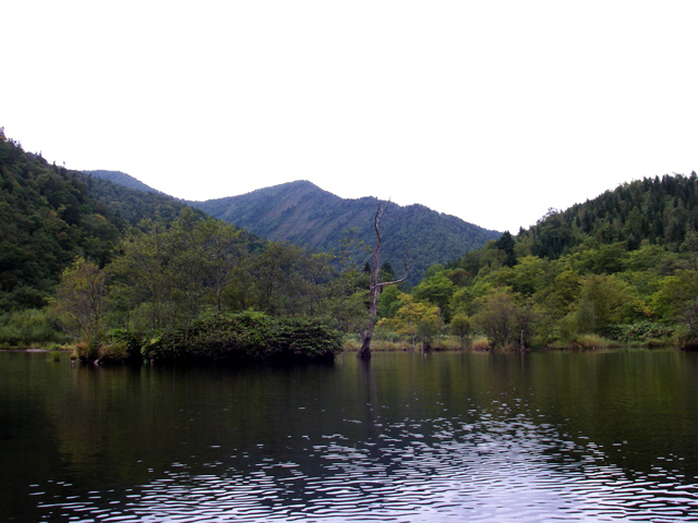 d0051707_2155812.jpg