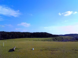 c0092408_1722694.jpg