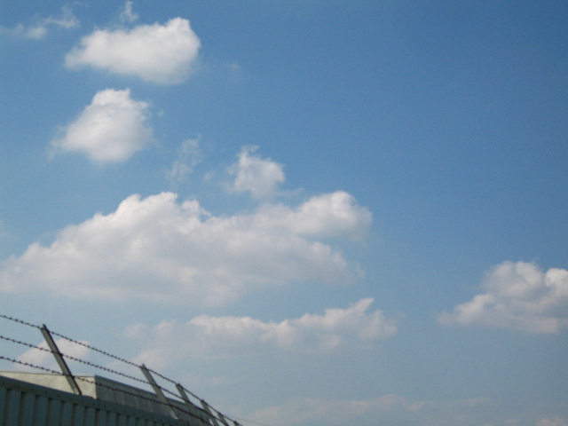 d0150309_18572566.jpg