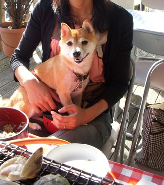 f0004309_22492062.jpg