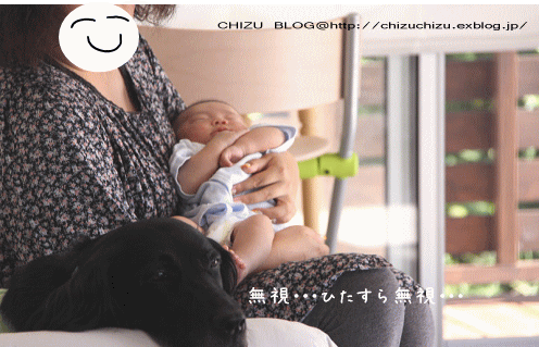 c0017311_18244728.gif
