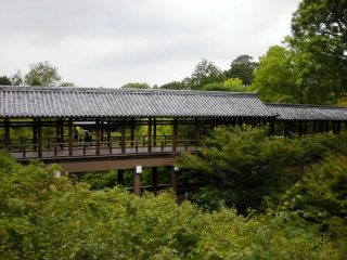 a0000014_19491189.jpg