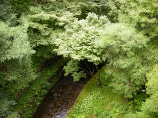 a0000014_1949384.jpg