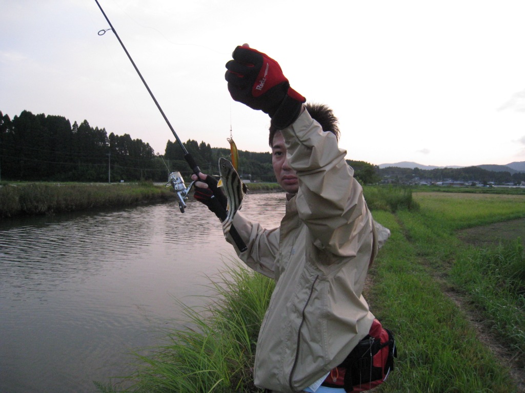 d0119915_2275328.jpg