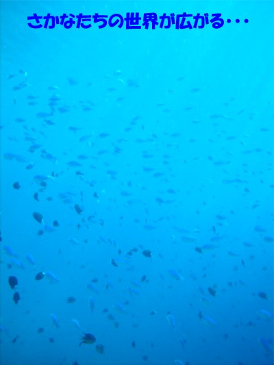 b0089616_1936399.jpg
