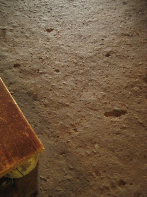 d0147727_651173.jpg