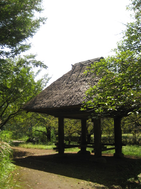 d0147727_6545930.jpg