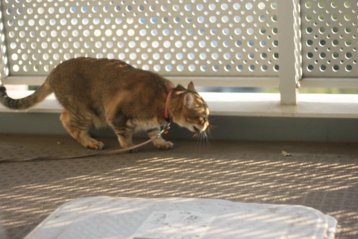 f0055228_1513331.jpg