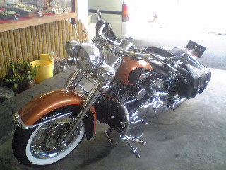a0099129_1572148.jpg