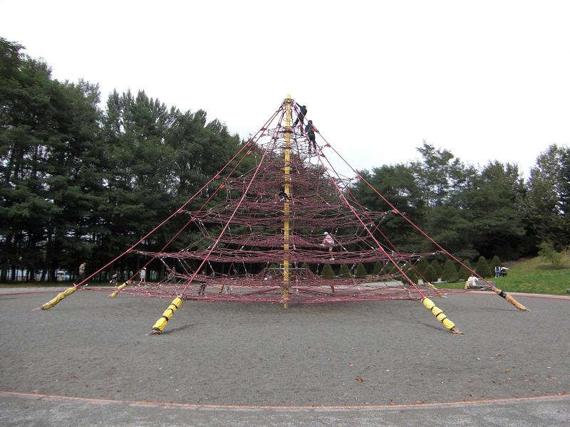 d0130229_21102811.jpg