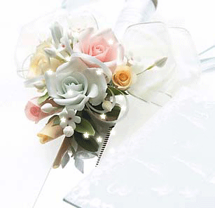 b0165233_1995054.gif