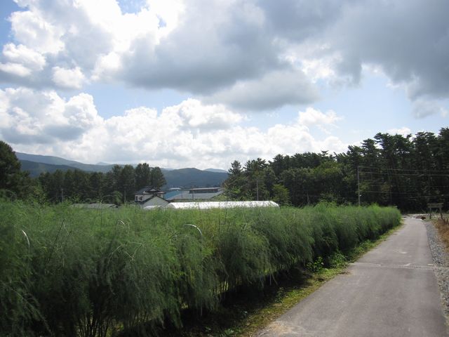 d0088735_21101258.jpg